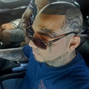 Meet your Posher, Sammy